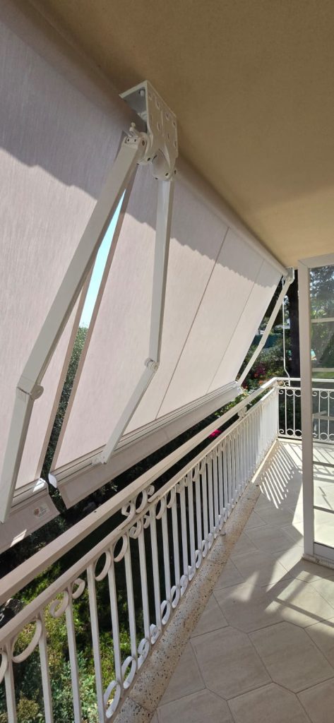 whatsapp image 2026 02 18 aat 12.12.53