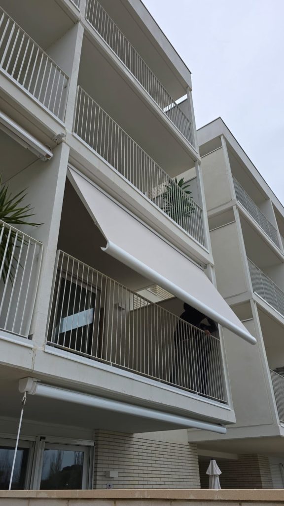 whatsapp image 2026 02 18 at 12.13.11