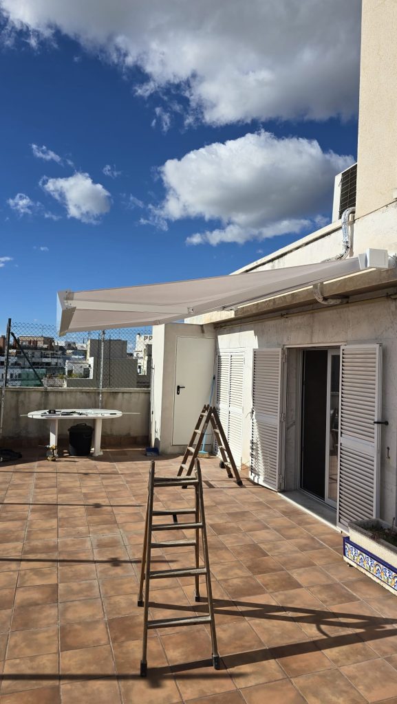 whatsapp image 2026 02 18c at 12.13.12