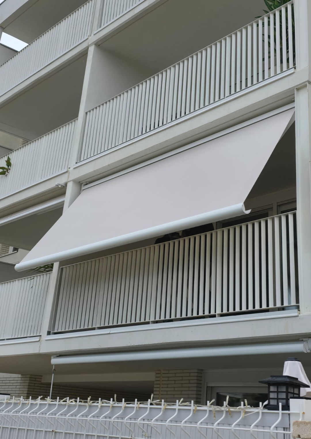 whatsapp image 2026 03 15 at 16.41.s29