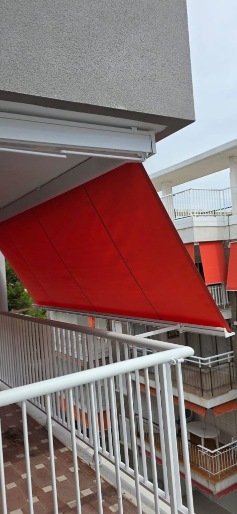 whatsapp image 2026a 02 18 at 12.30.58